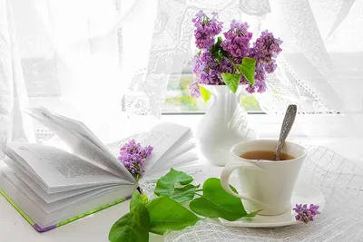 чашка чая со смесью трав и специй Фон Обои Изображение для бесплатной  загрузки - Pngtree