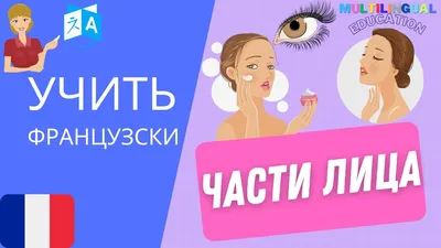 Части лица | Векторы общественного достояния