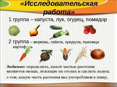 Конспект урока Мир природы и человека. 2 класс. ФГОС. ОВЗ. Коррекционная  школа. Тема: "Части растений" | Образование. Красота. Здоровье. | Дзен