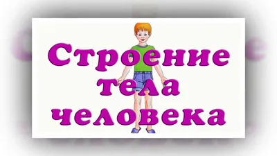 Раскраски части тела человека для детей - 70 фото