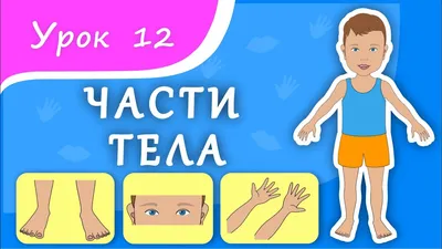 undefined | Тело, Части тела, Игры и другие занятия для детей