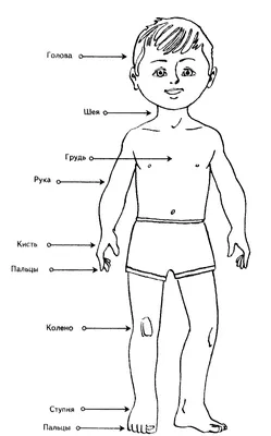 Части тела раскраска для детей - 70 фото
