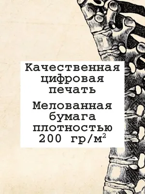 Мастерская АРТ-рит Анатомический плакат Части тела человека Запчасти