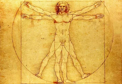 Кто такой "Витрувианский человек" Леонардо да Винчи? Малоизвестные факты о  знаменитом рисунке итальянского гения | Италия для меня | Дзен