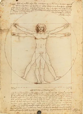 Витрувианский человек Леонардо да …» — создано в Шедевруме