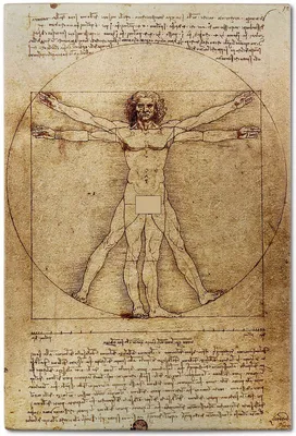Человек с расставленными руками Леонардо да Винчи: в чем смысл картины? |  Пикабу
