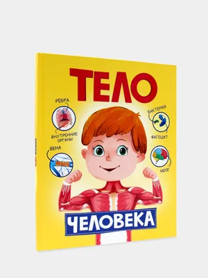 Книга для детей "Тело человека", Проф-Пресс купить по цене 259 ₽ в  интернет-магазине KazanExpress
