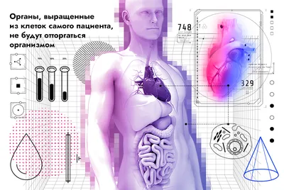 В ногу со временем. Как технологии вернут возможность незрячим видеть, а  инвалидам — свободно передвигаться: Будущее: Наука и техника: 