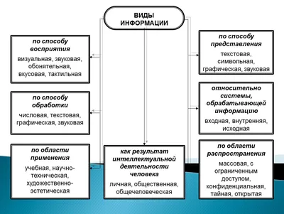 Человек и информация interactive worksheet | Live Worksheets