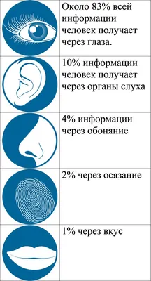 Информация и информатика | Умный информатик | Дзен