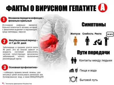 Информация об инфекционных заболеваниях