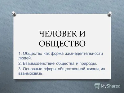 Направление “Семья, общество, Отечество в жизни человека”. Литература,  примеры, аргументы. | Маркс Академия — готовим к ЕГЭ | Дзен