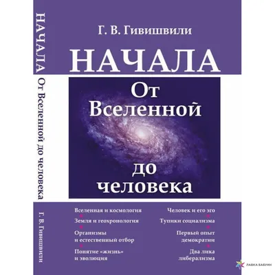 Человек-вселенная Стивен Хокинг: открытия и прогнозы ученого