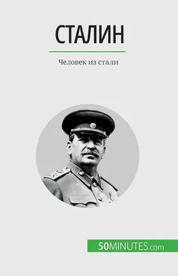 О чем будет "Человек из стали 2"? | Убежище Красного Колпака | Дзен