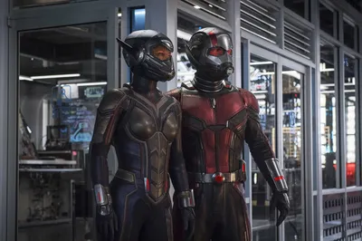 Фильм «Человек-муравей и Оса: Квантомания» / Ant-Man 3 (2023) — трейлеры,  дата выхода | КГ-Портал