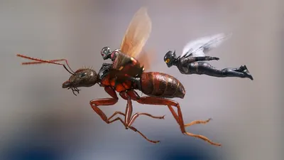 Человек-муравей и Оса: Квантомания» — это не фильм, а демоверсия! | Кино |  Мир фантастики и фэнтези