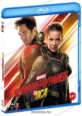 Человек-муравей и Оса (Blu-Ray) - купить фильм на Blu-Ray с доставкой.  Ant-Man and the Wasp GoldDisk - Интернет-магазин Лицензионных Blu-Ray.