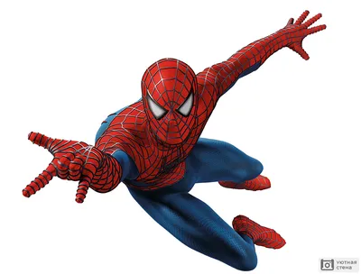 Обои Человек паук Рисованное -(Комиксы), обои для рабочего стола,  фотографии Человек, паук, рисованные, комиксы, Человек-паук, spi… | Человек- паук, Паук, Супергерои