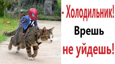 old spiderman / смешные картинки и другие приколы: комиксы, гиф анимация,  видео, лучший интеллектуальный юмор.