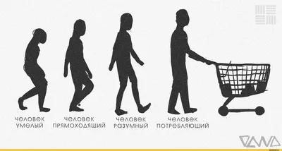 БЮСТ HOMO sapiens sapiens («человек разумный разумный»)