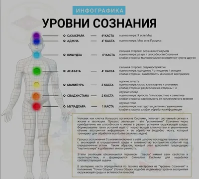 Образ человека как основа искусства врачевания - Том I. Анатомия и  физиология (fb2) | Флибуста