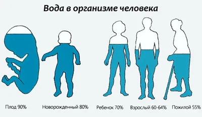 Мне кажеться человек состоит из 60% воды,а не 72%...ну ладно. | Знаки  зодиака, Знаки, Водолей