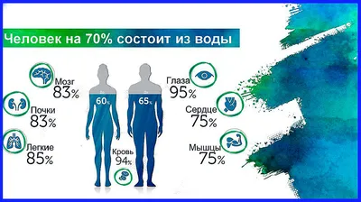 Как изменяется количество воды в организме человека от рождения до 18 лет?