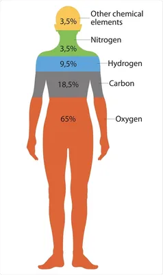 Почему нужно беречь воду? [инфографика] — 