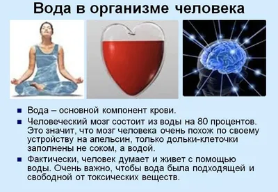 Человек состоит в основном из воды, 2000 — описание, интересные факты —  Кинопоиск