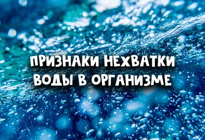 Человек - почти как арбуз: на 80 процентов состоит из воды - 