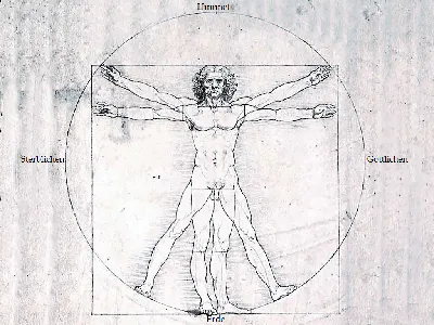 Витрувианский человек: что зашифровано в самом знаменитом рисунке Леонардо  да Винчи | Кириллица | Дзен
