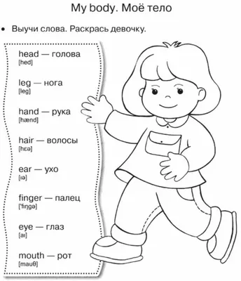 Описание внешности на английском: Лексика + примеры с переводом