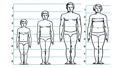 Как нарисовать человека в полный рост » ПОЭТАПНО и ЛЕГКО рисуем человека  карандашом