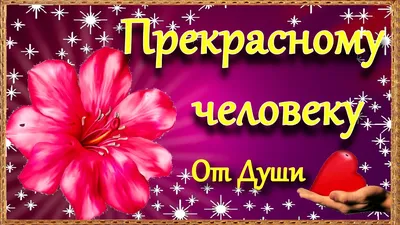 Красивые пожелания с добрым утром: стихи, проза, открытки - МЕТА