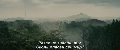 Как интересно продолжить поговорку "Чем дальше в лес - тем..."?