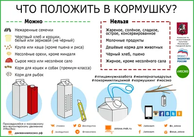 Заботясь, не навреди: чем и как можно кормить птиц зимой? - Телеканал «О!»