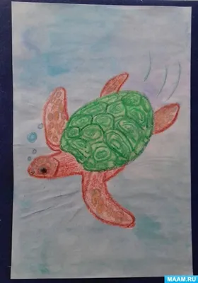 Конспект занятия по рисованию «Морская черепаха» для детей старшего  дошкольного возраста (6 фото). Воспитателям детских садов, школьным  учителям и педагогам - Маам.ру
