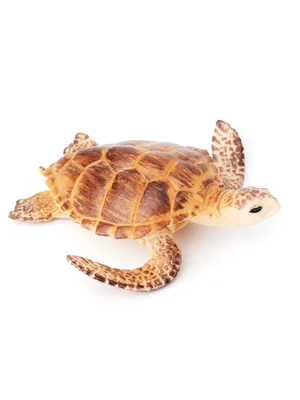 Черепаха Челленж - подружка Полен и животные для детей - YouTube