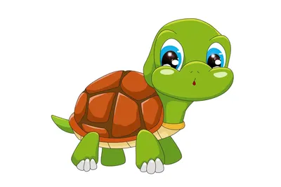 Черепахи — раскраски для детей скачать онлайн бесплатно