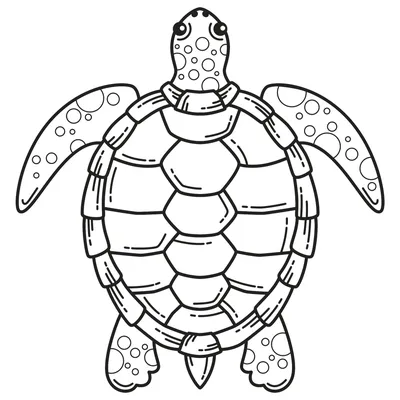 Мастер-класс по рисованию восковыми мелками с детьми 6 лет «Морская черепаха»  (9 фото). Воспитателям детских садов, школьным учителям и педагогам -  Маам.ру