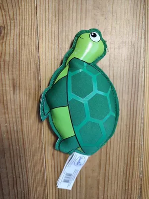Настоящая черепаха — раскраска для детей. Распечатать бесплатно.