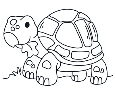 Фигурка животного Derri Animals Черепаха для детей игрушка коллекционная  декоративная, 84254, 8х4,2х4,2 - купить с доставкой по выгодным ценам в  интернет-магазине OZON (281179928)