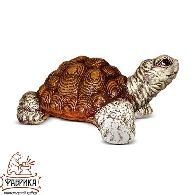 Авторская игрушка - Черепаха Тортилла купить в Шопике | Иркутск - 1122229
