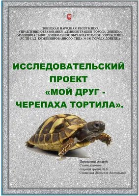 Кто такая Тортилла из «Приключений Буратино»? | частные суждения | Дзен