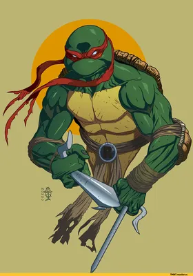 Фигурка Черепашки ниндзя Рафаэль TMNT подвижная с аксессуарами 16,5 см -  купить в Москве, цены на Мегамаркет