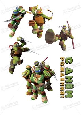 Игрушка Фигурка Черепашки-ниндзя 12 см. Донателло TMNT 90617tmnt