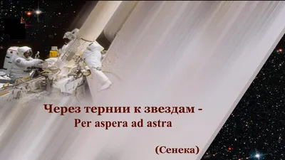 Через тернии к звездам by НАУЧНАЯ БИБЛИОТЕКА ХНУРЭ - Issuu