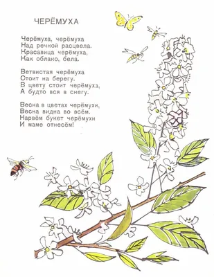 Фотография №5 - " р. Черёмуха", место сьемки – Река Черёмуха в Рыбинске.  Россия, Ярославская