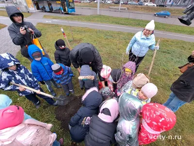 Картина маслом "Букет Черёмухи", 30-30 см – заказать на Ярмарке Мастеров –  R103QRU | Картины, Нижний Новгород