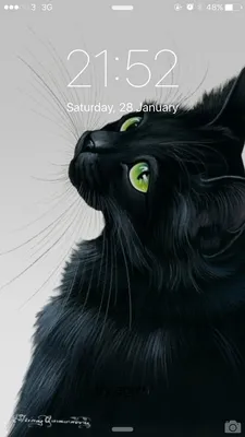 Черная кошка нарисованные картинки